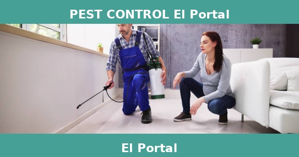 PEST CONTROL El Portal